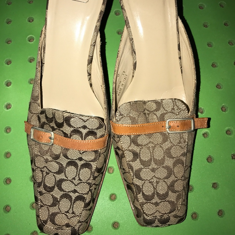 COPY - Authentic Coach Slides